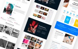 WordPress Web design, Customize service - Flexgigzz